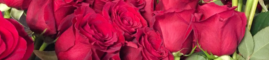 Enviar Flores San Valentin 2019 - Regala Flores y Rosas